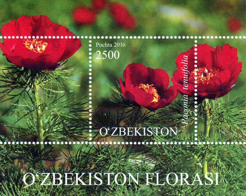 Block: Blumen 2016