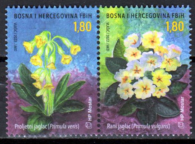 Flora 2022, Primel