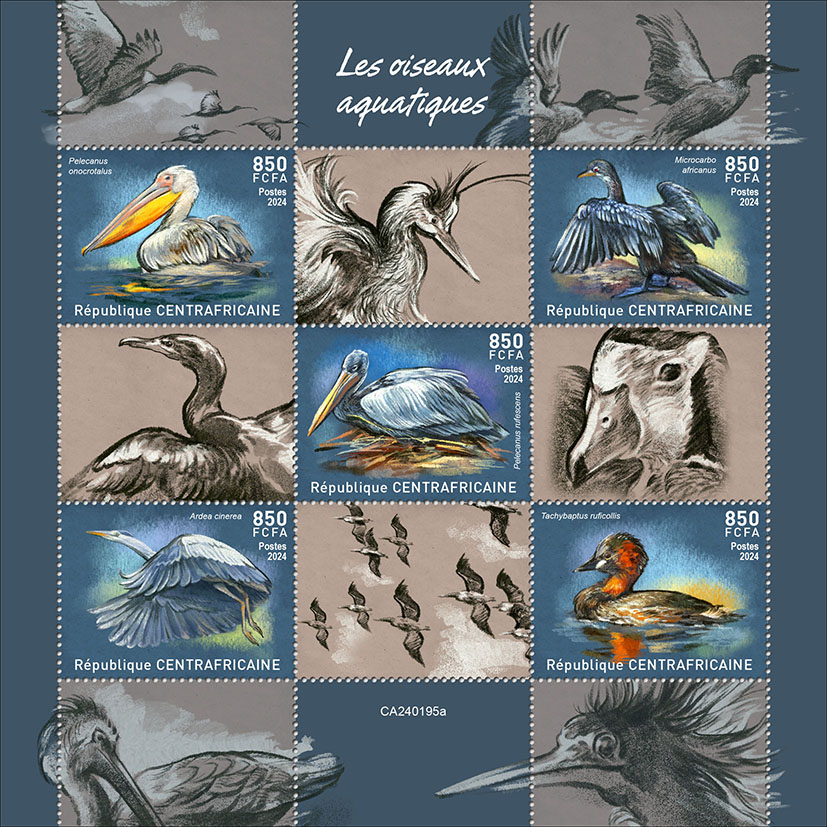 Wasservögel 2024