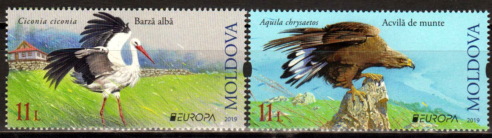 Europa 2019, Vögel