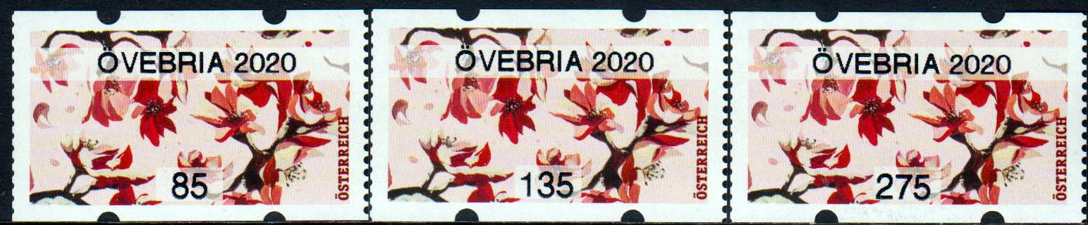 Blühender Zweig 2020, mit Aufdruck "ÖVEBRIA 2020"