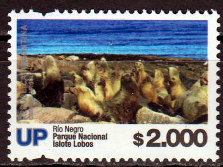 Dauer: Nationalpark Islote Lobos $2000
