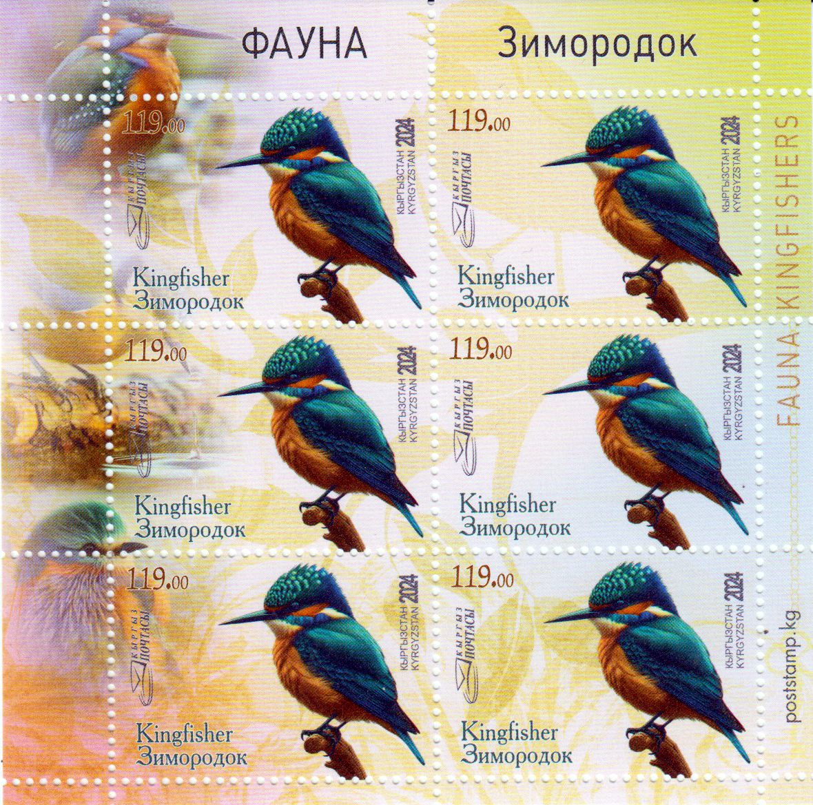 Block: Eisvogel 2024, Zdr. Bogen