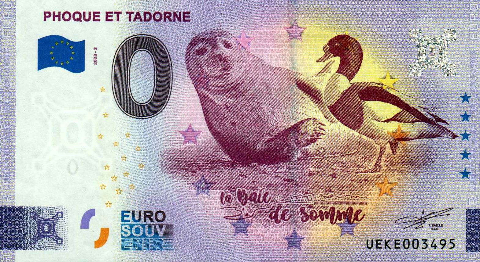 Phoque et Tadorne 2023-3