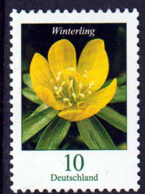 Dauer: Winterling 2017, mit Nummer