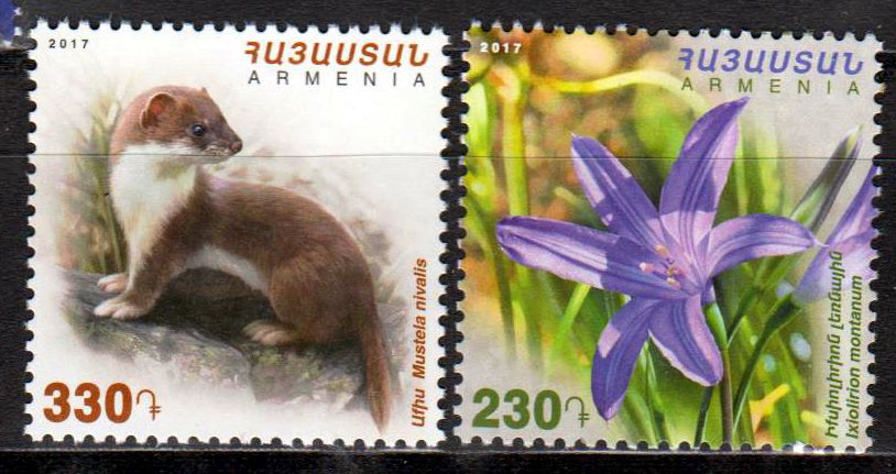 Flora u. Fauna 2017, Mauswiesel, Blume