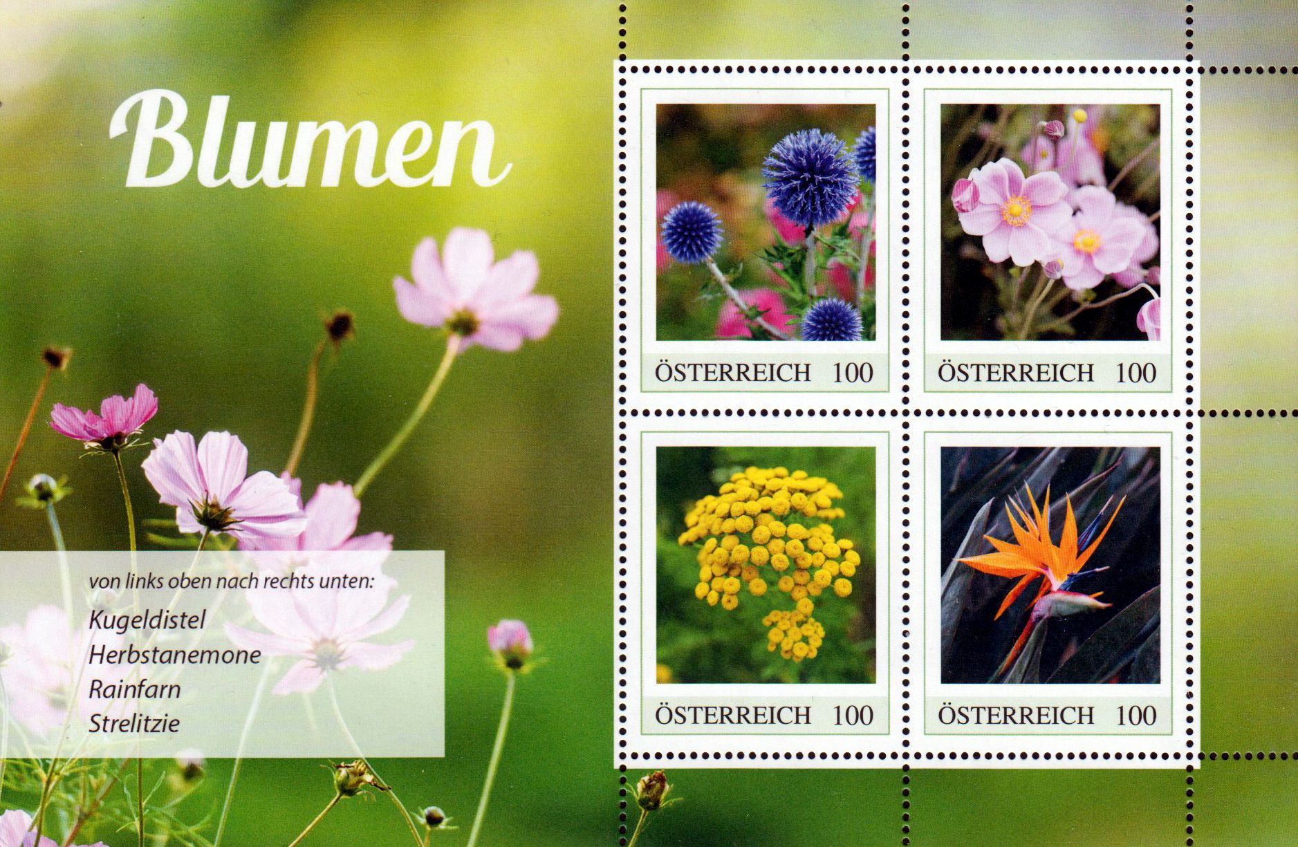 Markenedition 4, Blumen 2026, Kugeldistel, Anemone, Rainfarn, Strelitzie