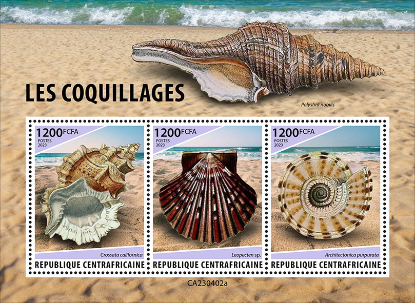 Muscheln 2023