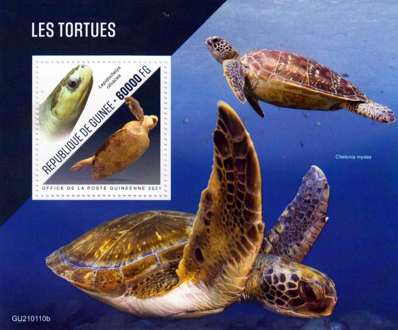 Block: Schildkröten 2021