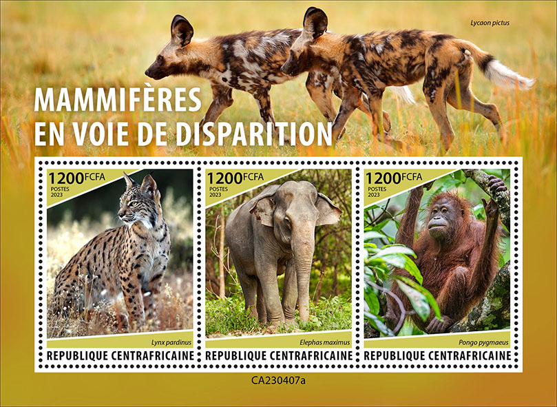 Gefährdete Tiere 2023, Luchs, Elefant, Orang Utang
