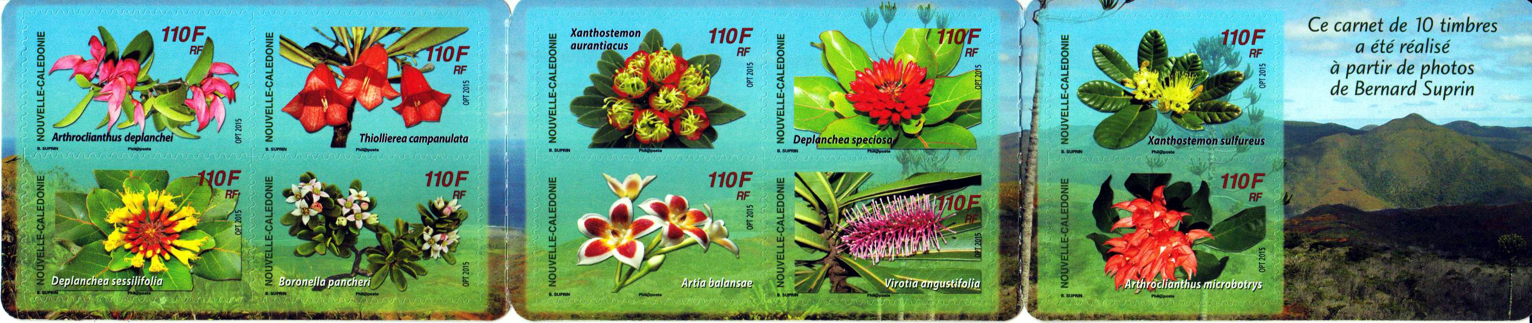 Blumen a. MH (15P20)