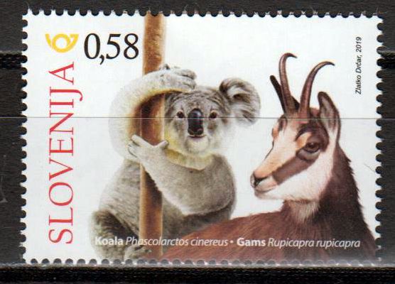 Tiere 2019, Gams & Koala