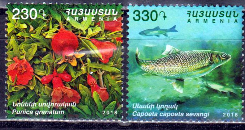 Flora & Fauna 2018, Fisch, Blume