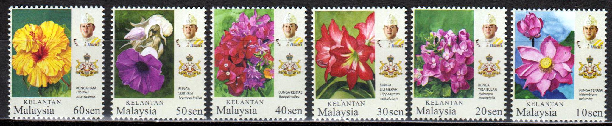 Dauer: Kelantan 2018, Gartenblumen