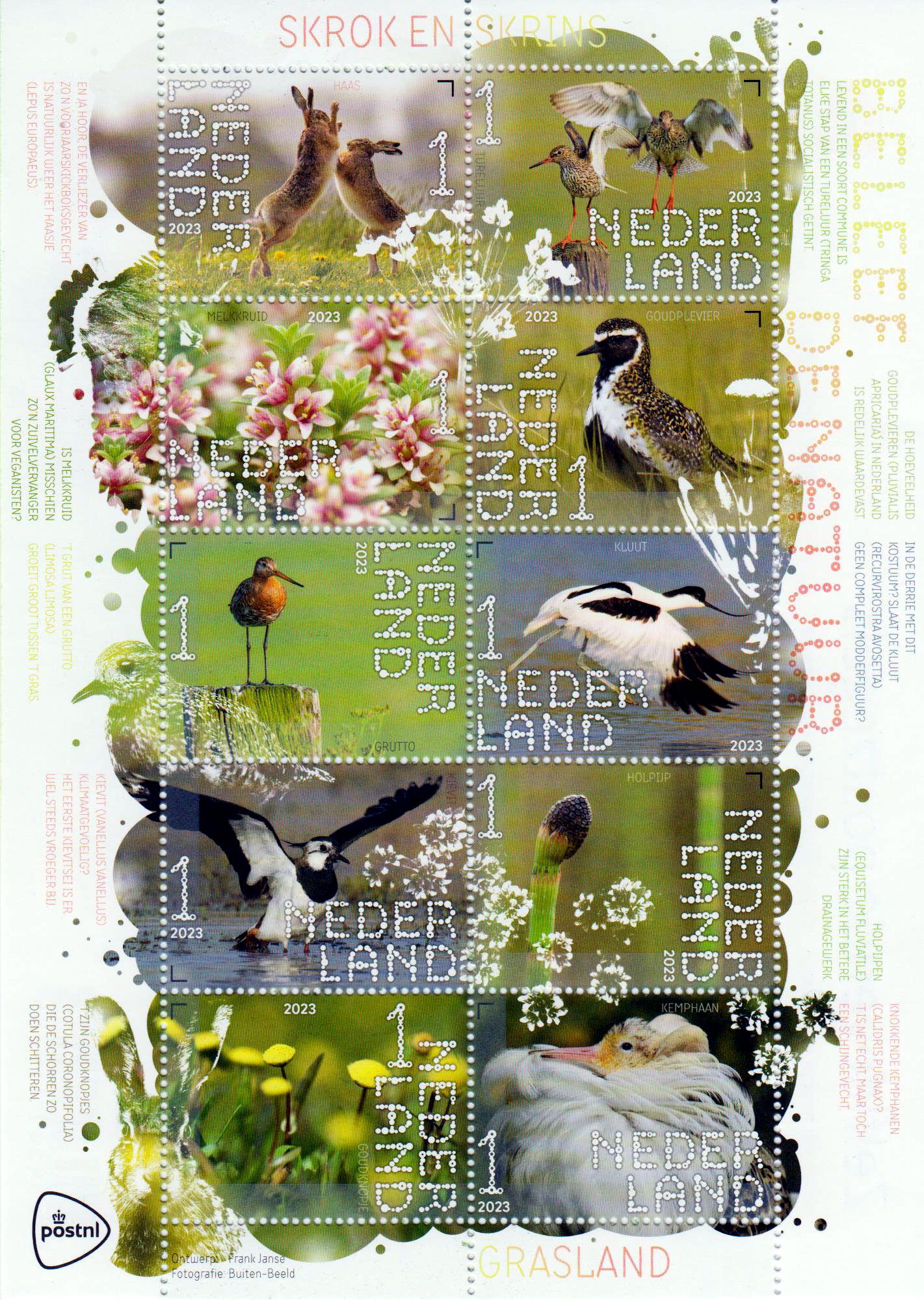 Natur 2023, Vögel, Hase, Blumen