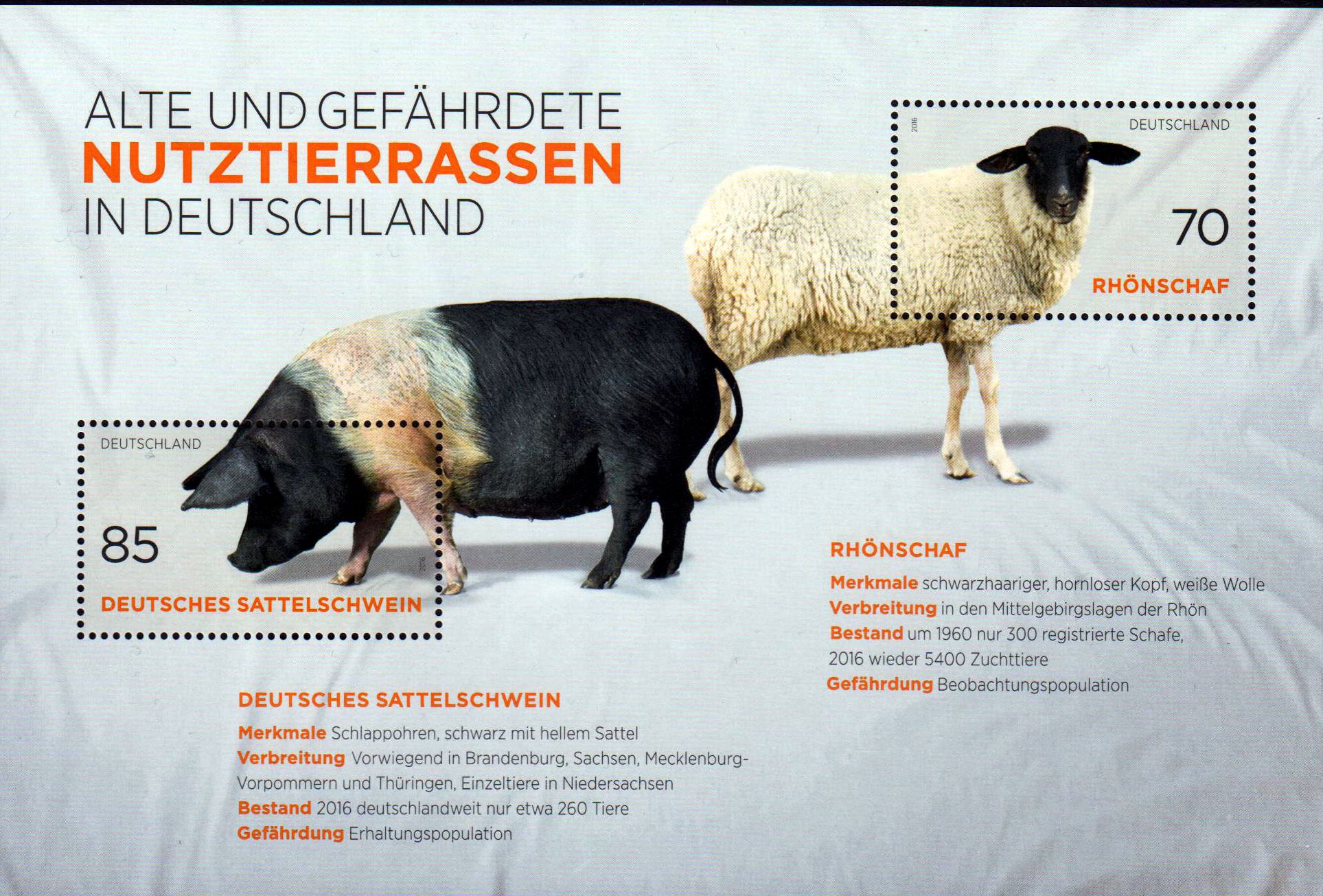 Block: Nutztierrassen, Schwein, Schaf