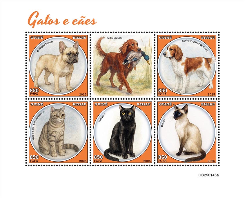 Katzen und Hunde 2025