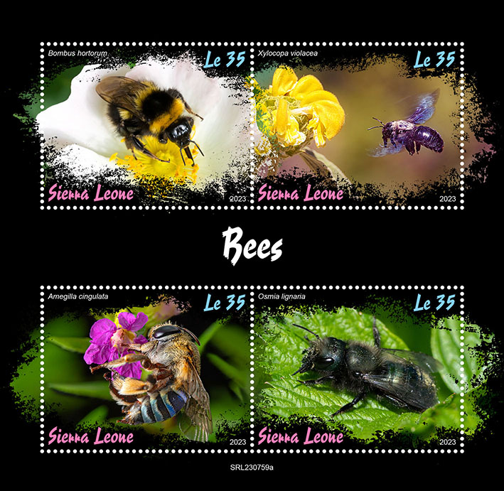 Bienen 2023