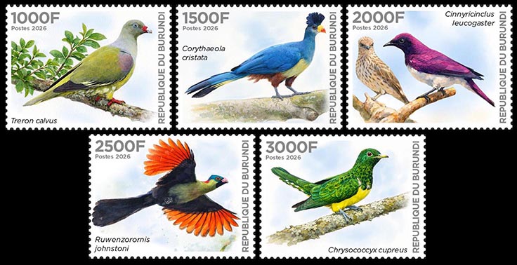 Vögel Burundis 2026