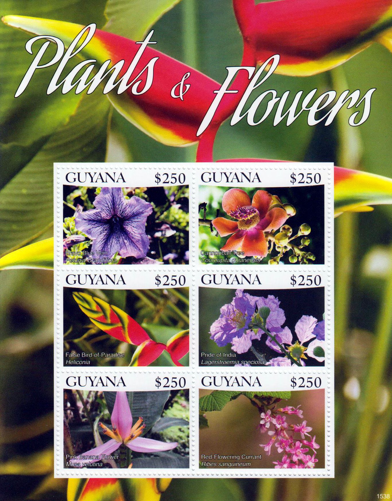 Pflanzen & Blumen 2016 II