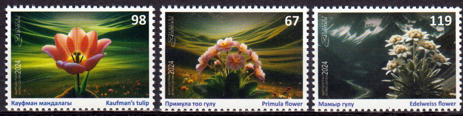 Blumen 2024, Edelweiss, Tulpen, Primeln
