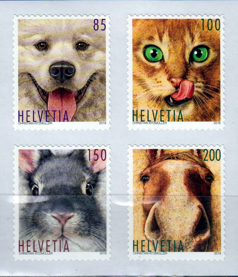 Tierfreunde 2019, sk