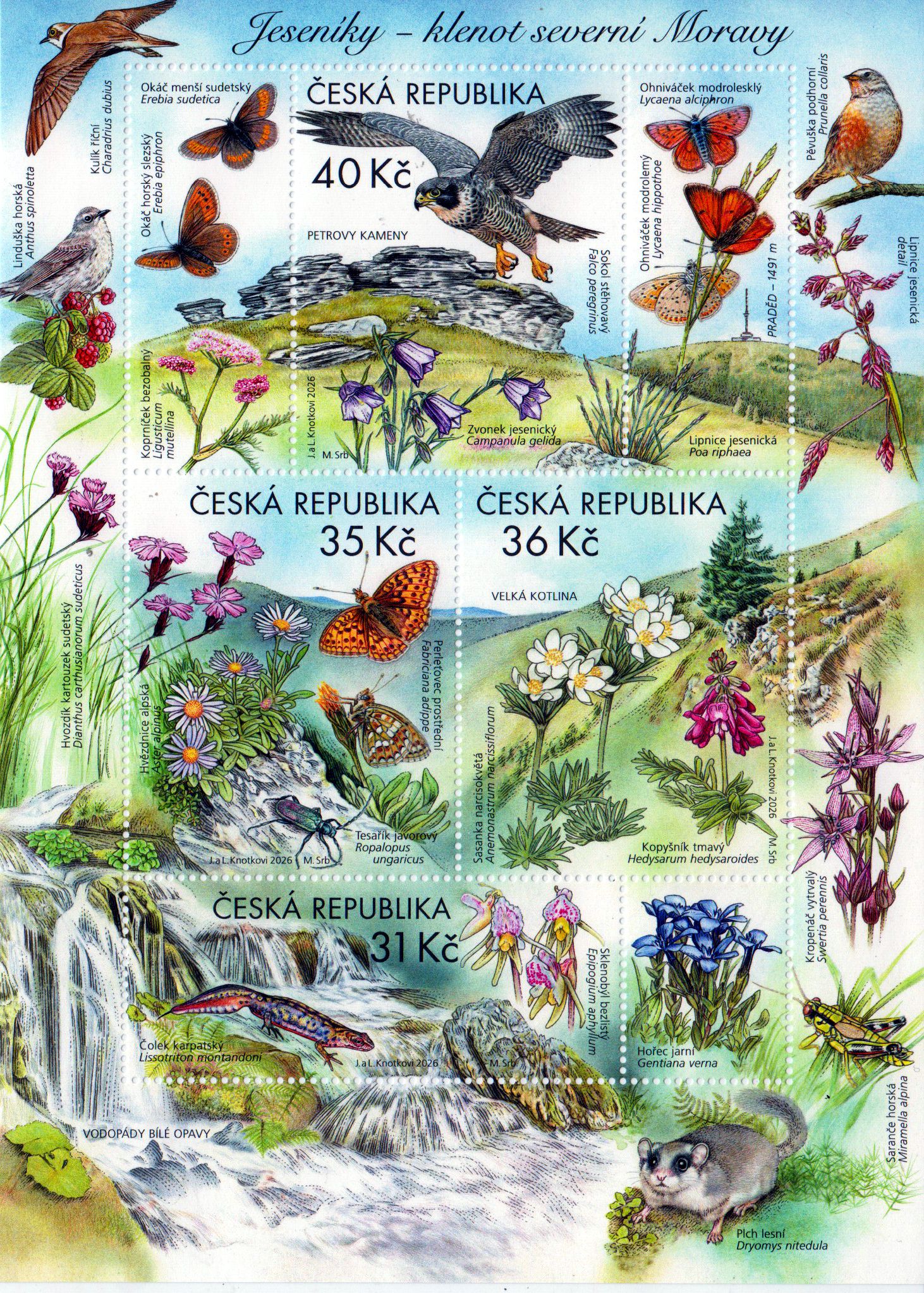 Block: Naturschutzgebiet Jeseniky 2026