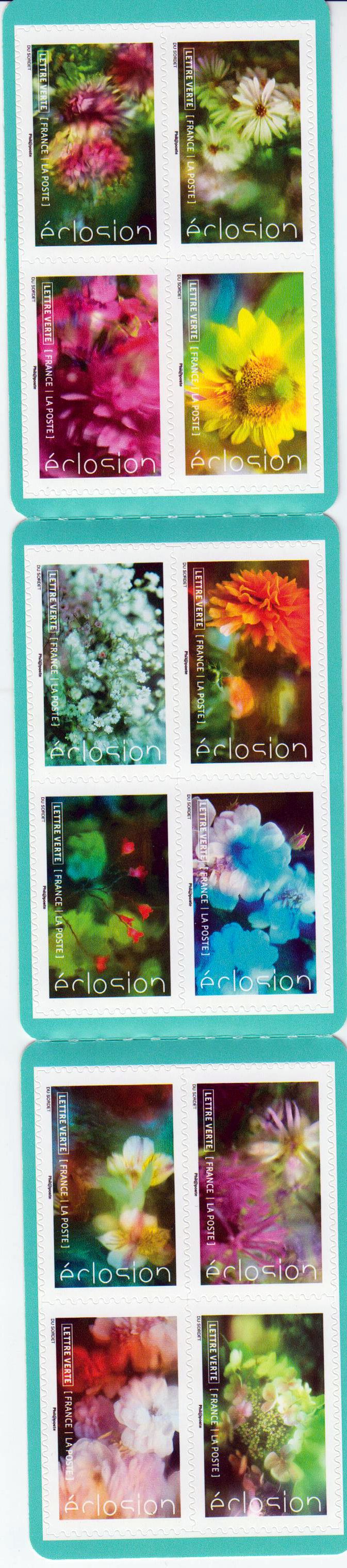 MH: Blumen 2019, sk
