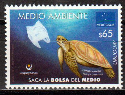 Schildkröten 2019, Mercosur