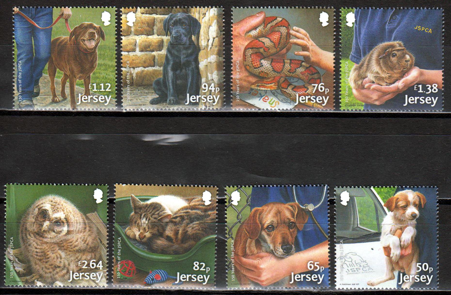 Tiere 2018, Hunde, Katze, Schlange
