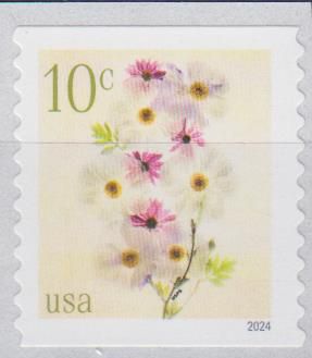 Dauer: Mohn- und Kegelblume 2024, 10c, v. Rolle, sk