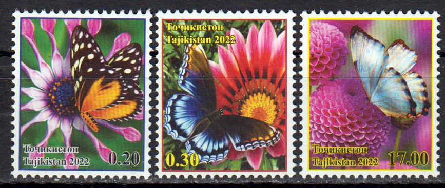 Dauer: Schmetterlinge 2022