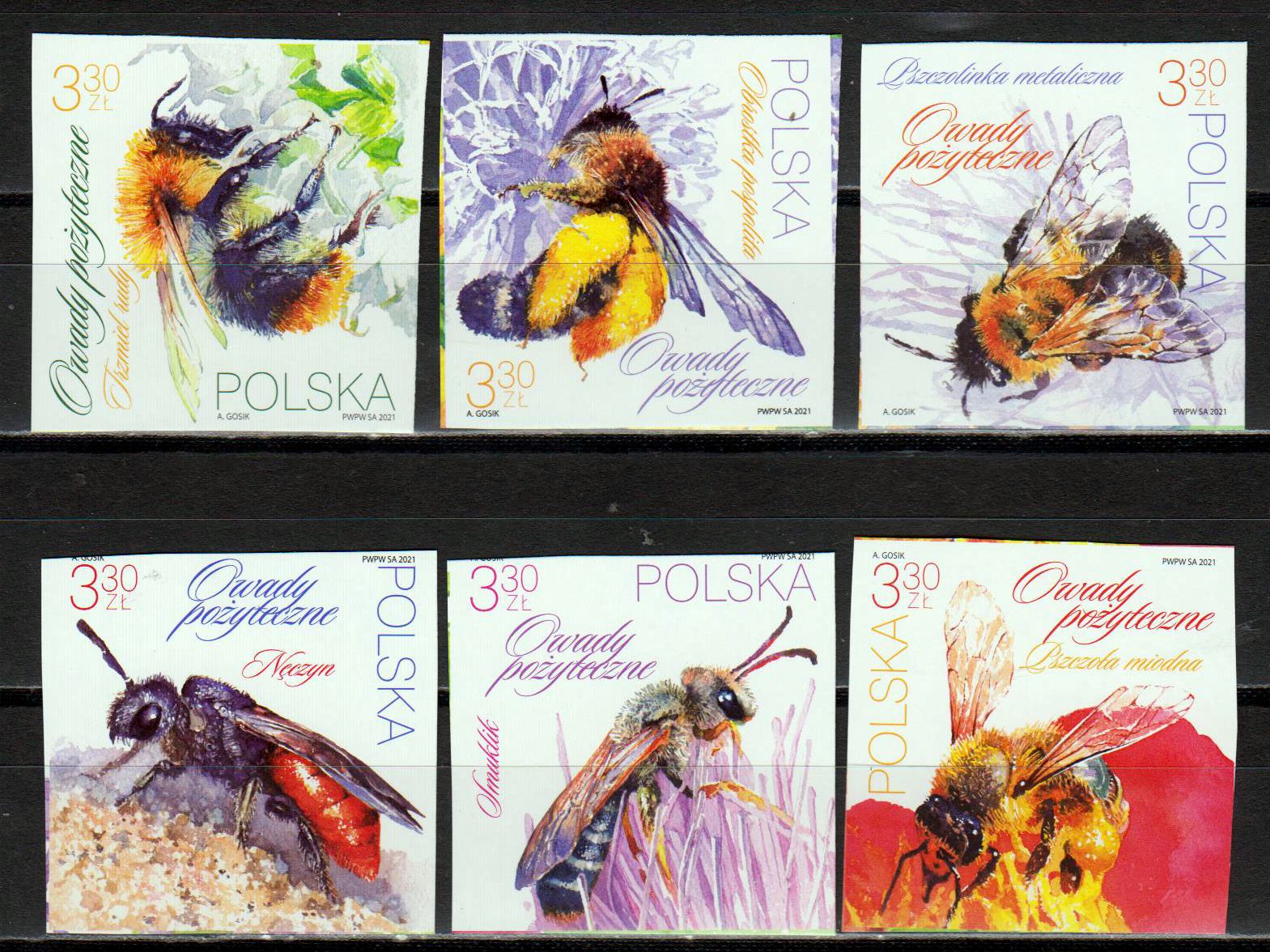 Nützliche Insekten 2021, geschnitten