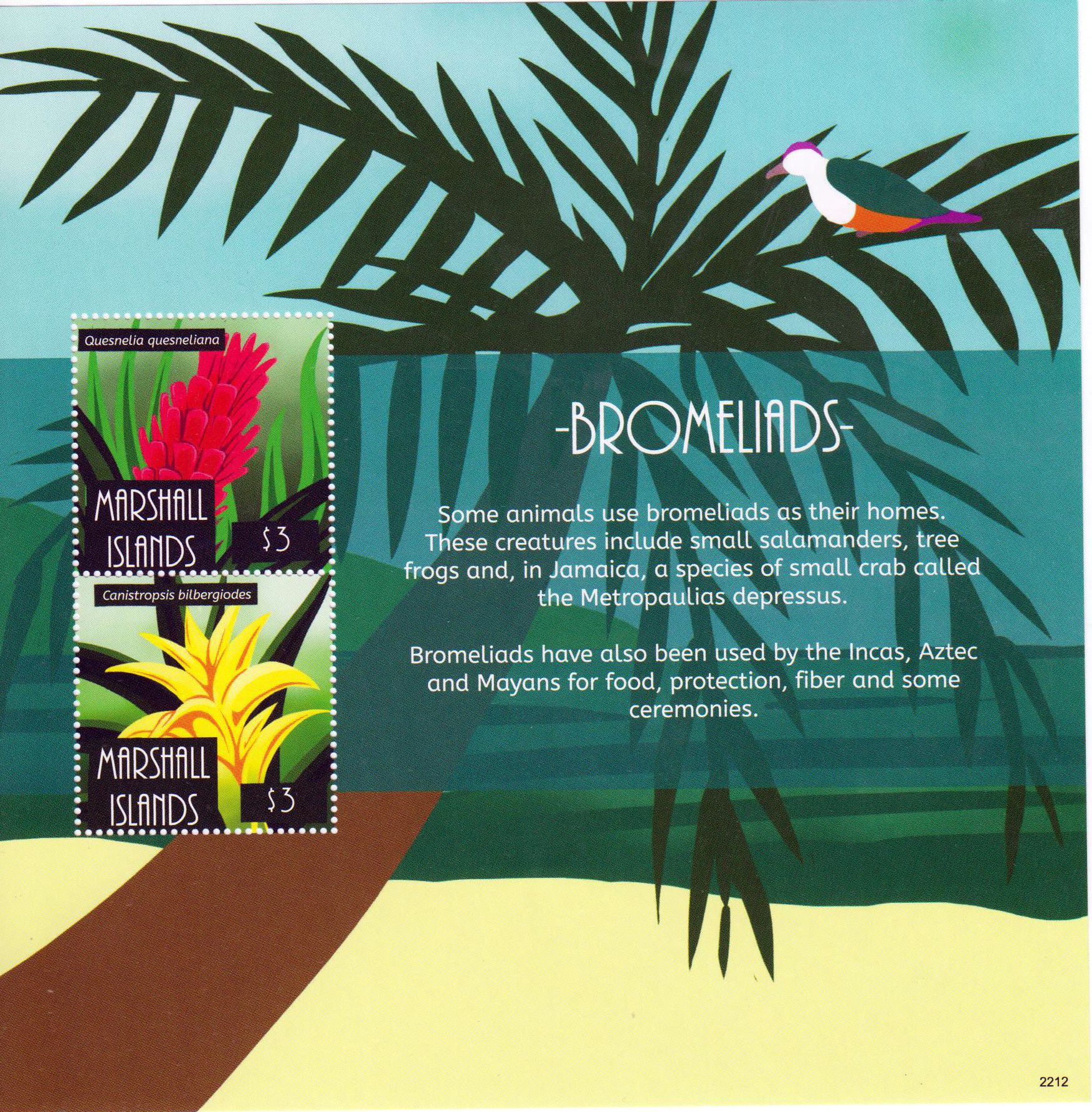 Block: Bromelien 2022