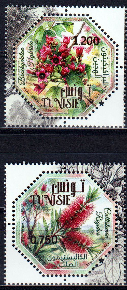 Pflanzen 2025, Brennnessel, Wacholder, Koloquinte