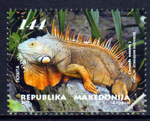Leguan 2017
