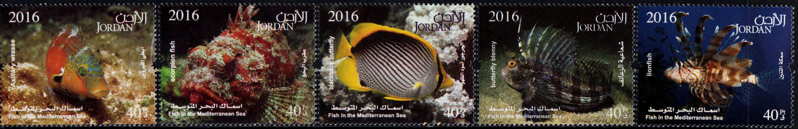 Euromed 2016, Fische