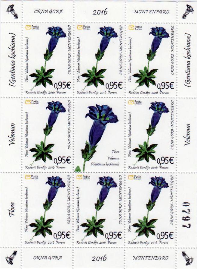 Flora 2016, Enzian