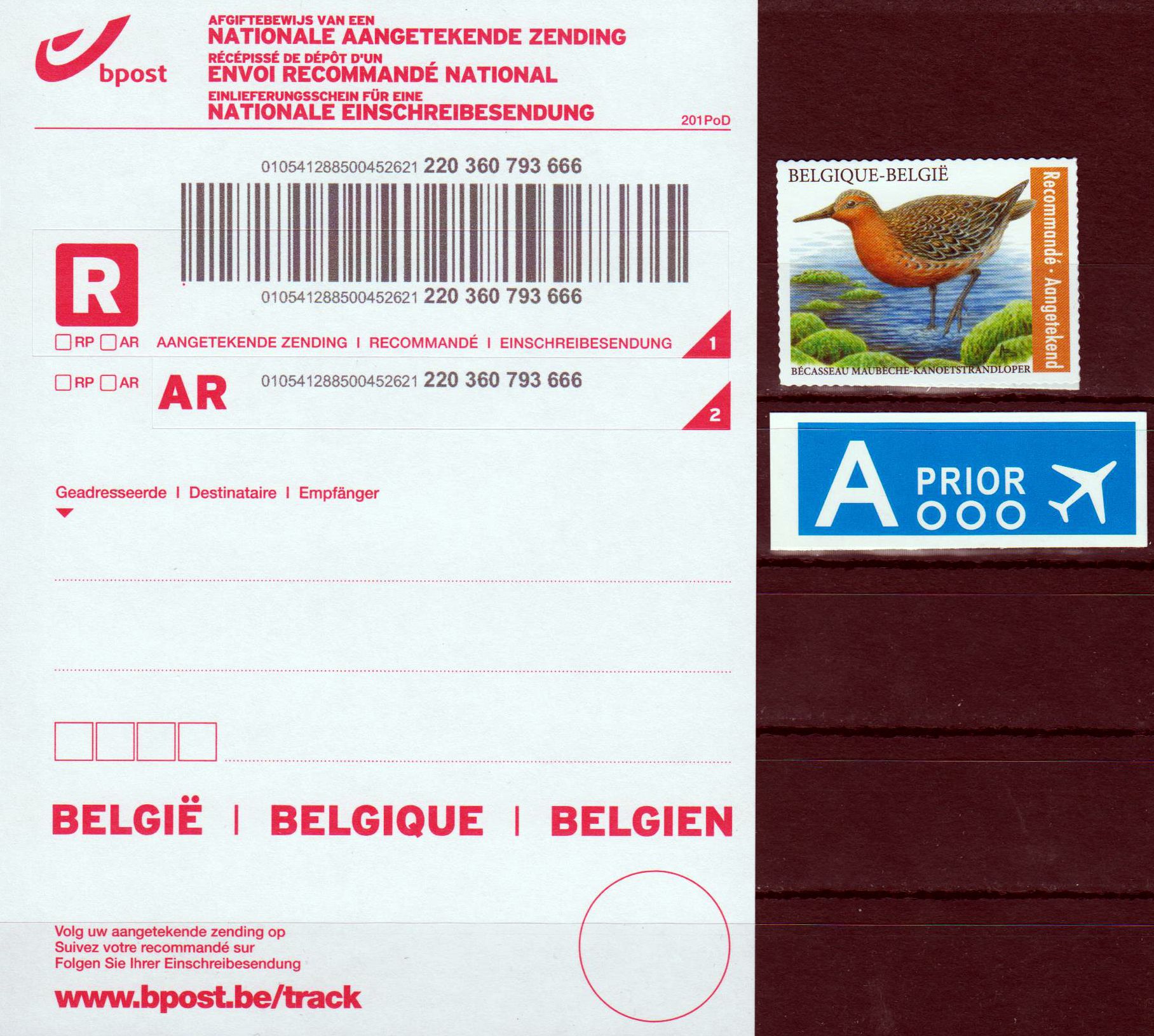 Dauer: Pfuhlschnepfe 2023, Recommande, sk
