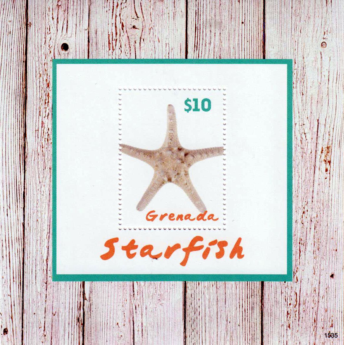 Block: Seesterne 2015
