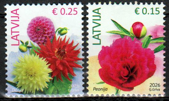 Blumen 2026, Dahlien und Pfingstrose