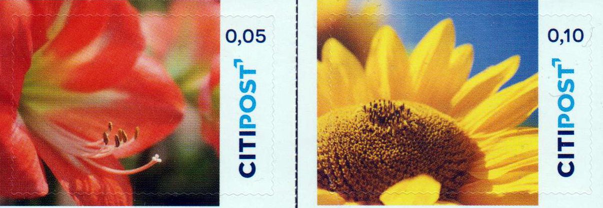 Ergänzungswerte 2021 I, Amaryllis und Sonnenblume