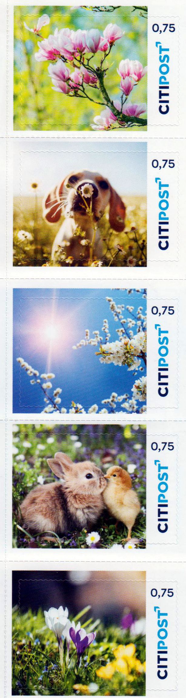 Frühling 2022