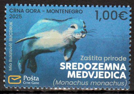 Naturschutz 2025, Mönchsrobbe