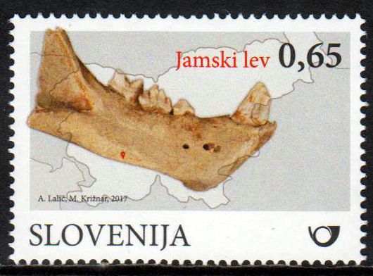Säugetier Fossilien, Höhlenlöwe
