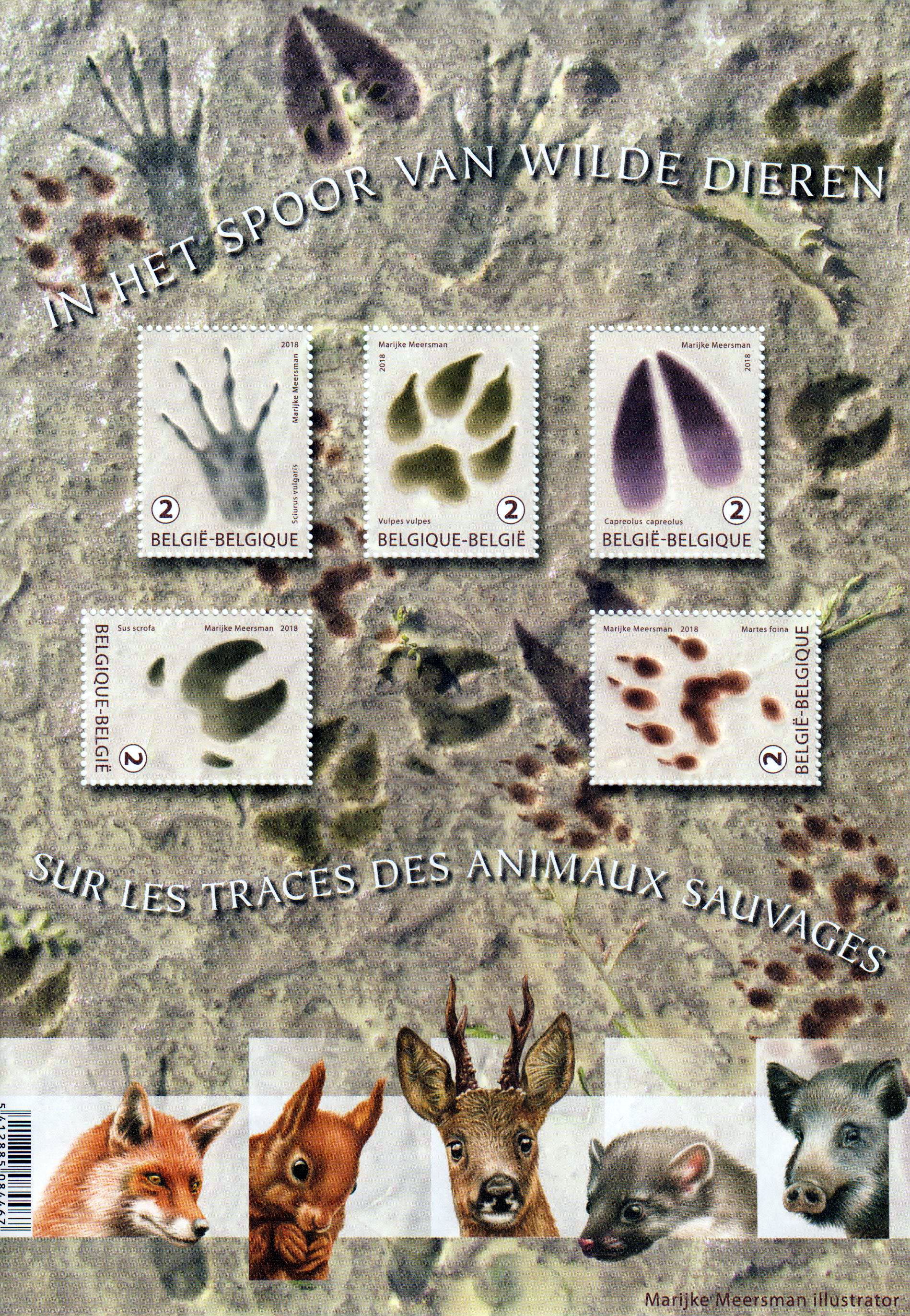 Block: Wildtierfährten 2018