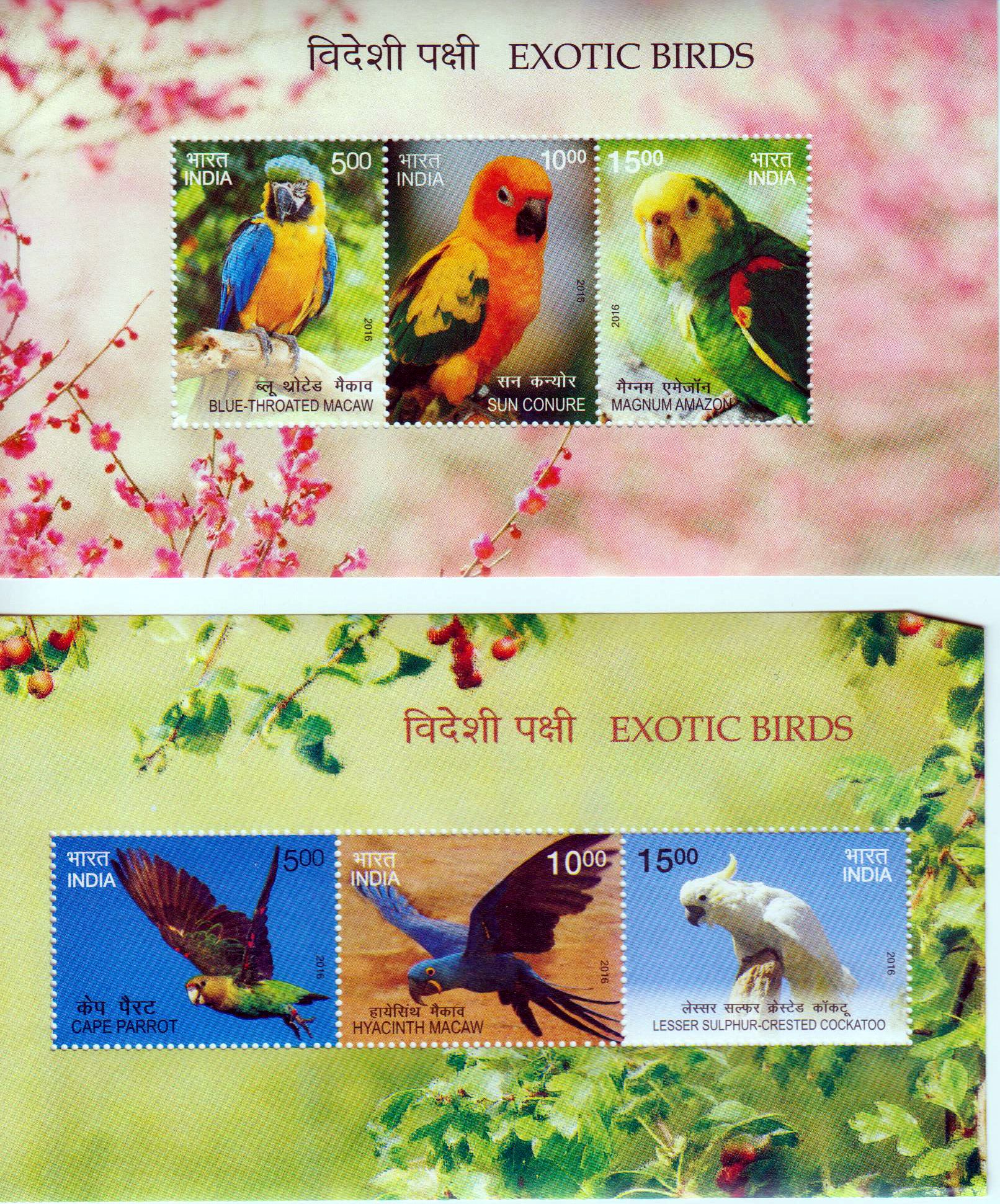 Block: Exotische Vögel 2016