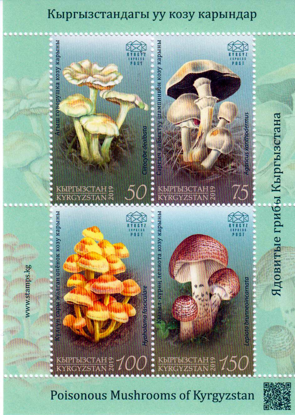 Block: Giftige Pilze 2019