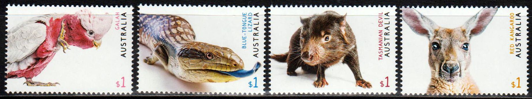 Australische Fauna 2019, Tiere
