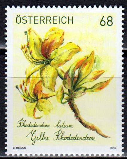Treuebonusmarke 2018, Rhododendron